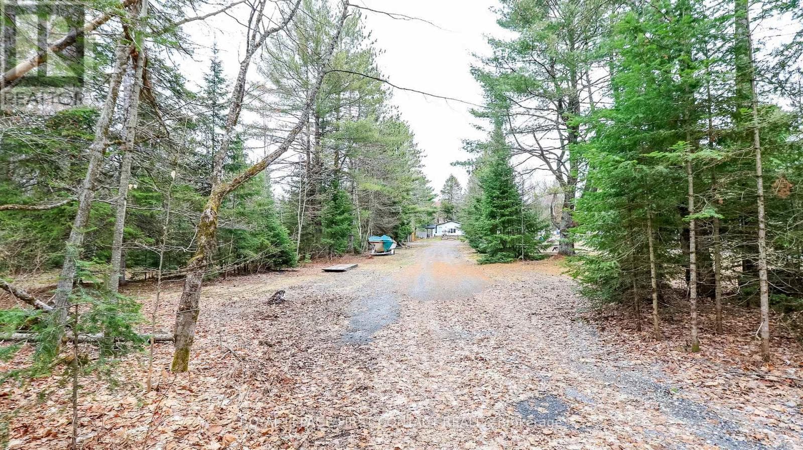 1088 COLONY ROAD — photo 3