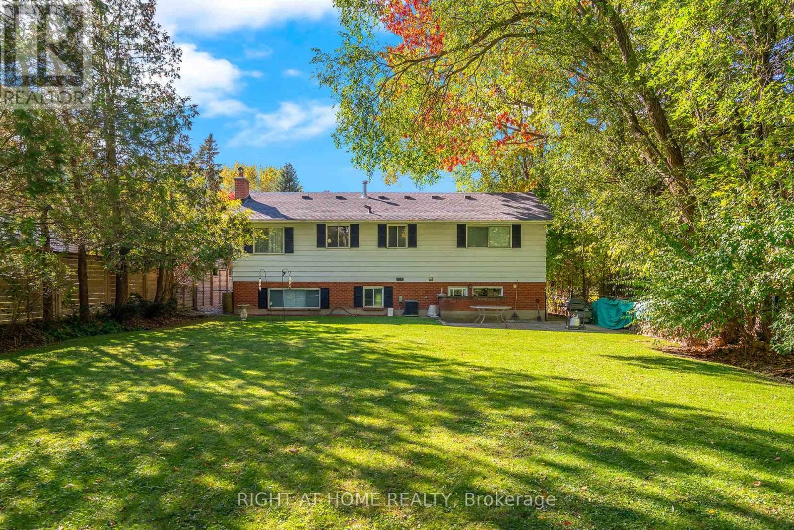 225 ANNE STREET — photo 3