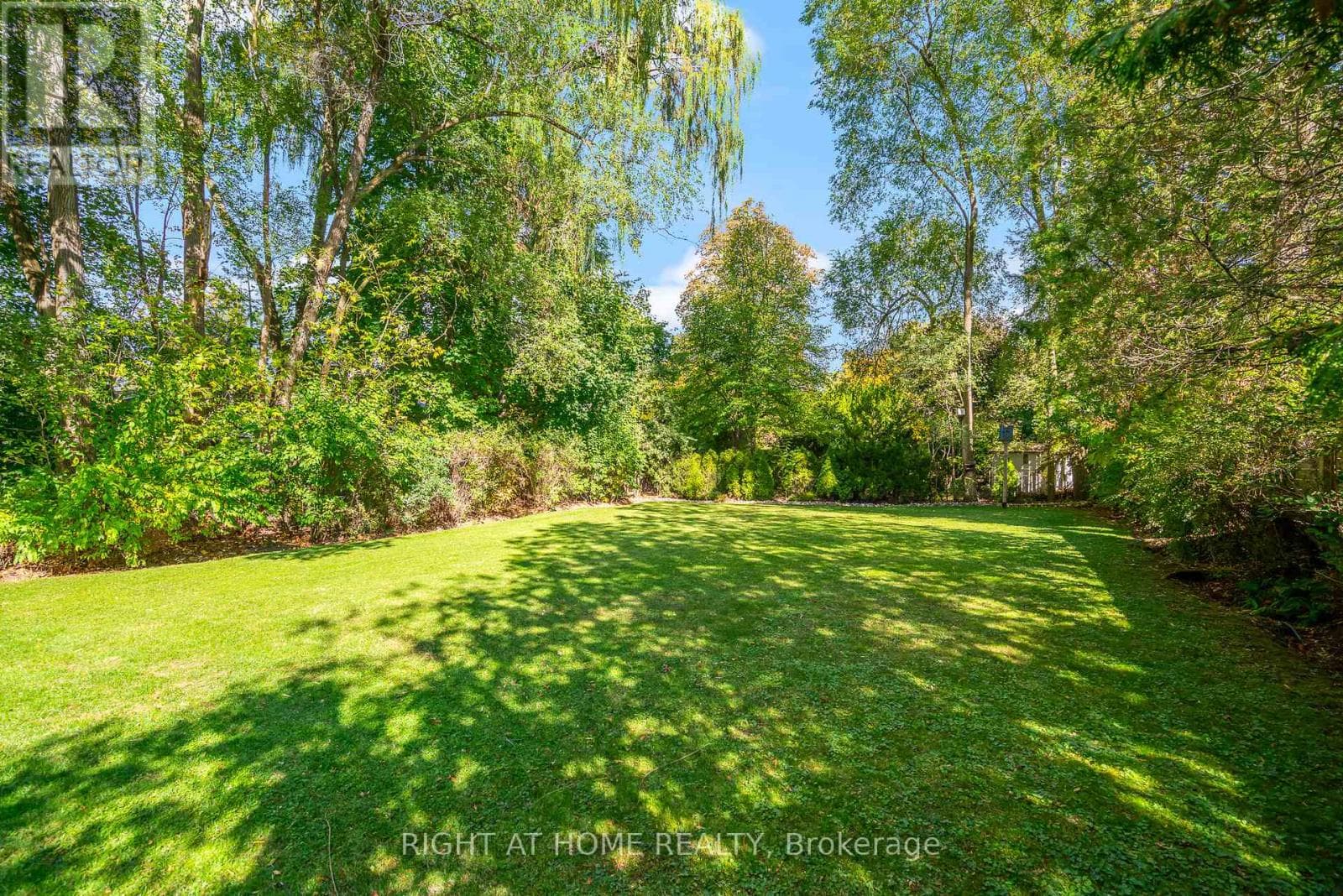 225 ANNE STREET — photo 4